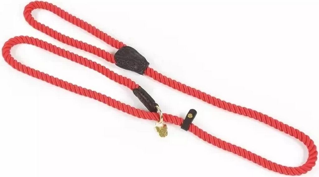 Digby & Fox - Hunde-Retriever-Leine, Seil, Leder ER2118 (Einheitsgröße) (Rot)