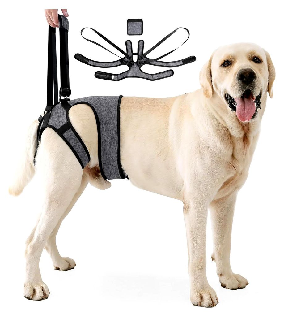 Hunde Tragehilfe, Verstellbares Hundegeschirr für die Hinterbeine, Tragbarer Hunde Aufzugsgeschirr für behinderte, verletzte oder ältere Hunde (XL)