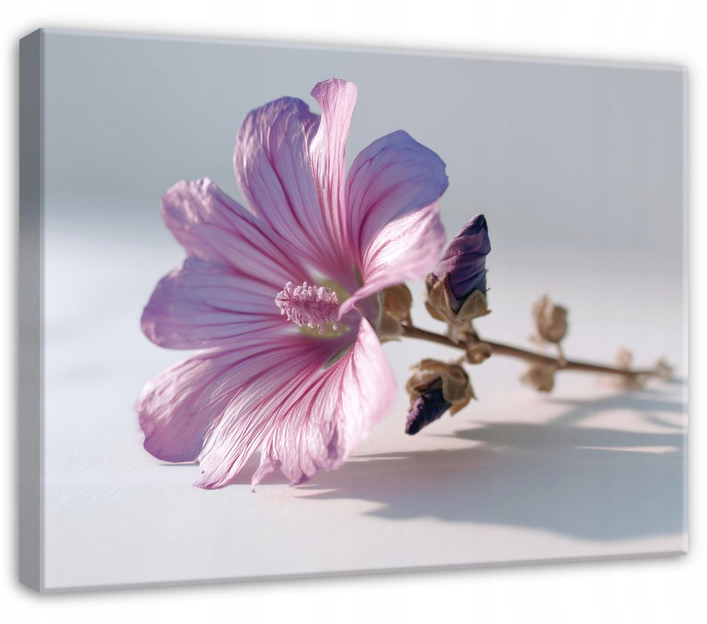 Leinwandbild Blumen Natur Abstrakt - 100x70 cm - Wandbilder Wohnzimmer Schlafzimmer - Leinwand Leinwandbild Rosa - PP16446O1