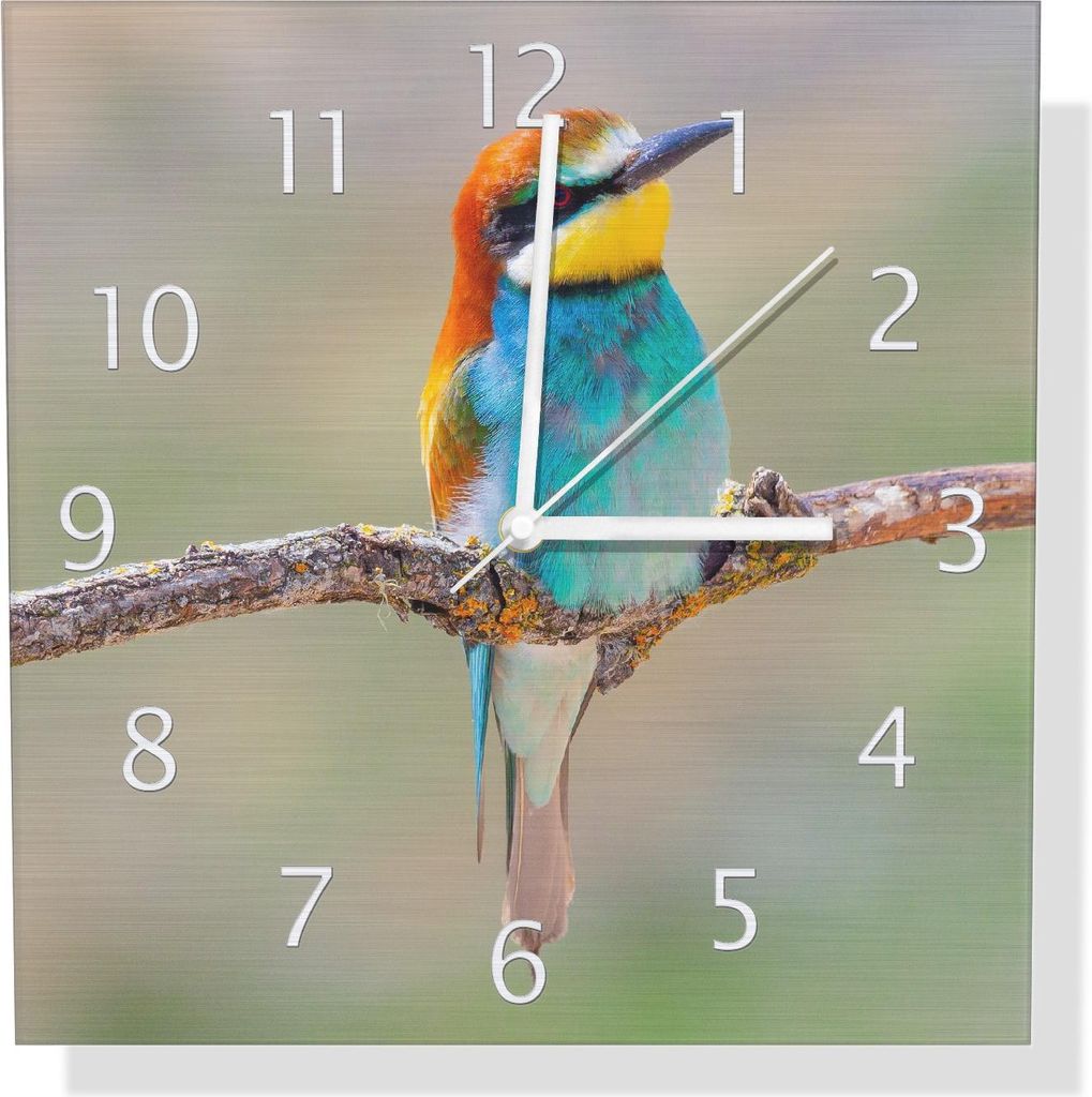 Wallario Design Wanduhr Vogel auf Ast aus Aluverbund, Größe 30 x 30 cm