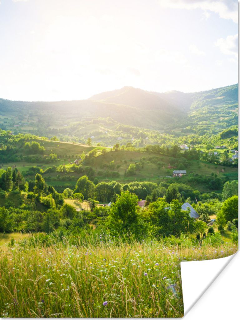 MuchoWow Poster Wald - Landschaft - Sonne - Natur - Sonnenaufgang 60x80 cm - Schlafzimmer Dekoration