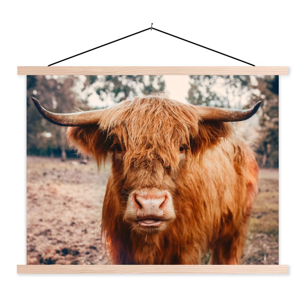 MuchoWow Textilposter Kuh - Schottischer Hochländer - Hörner - Braun - Landschaft 120x90 cm mit holzfarbenen Rahmen - Magnetisch