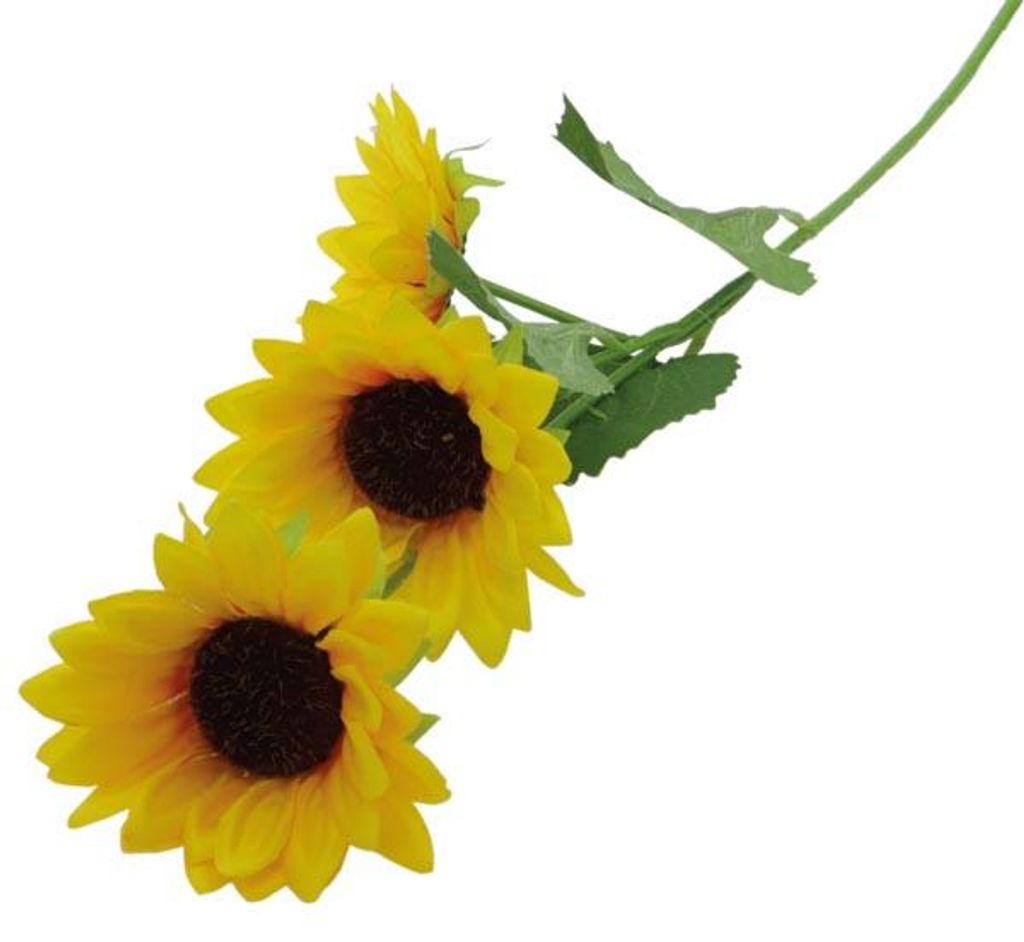 Sonnenblumen Strauß mit 3 Köpfen, 10x58cm