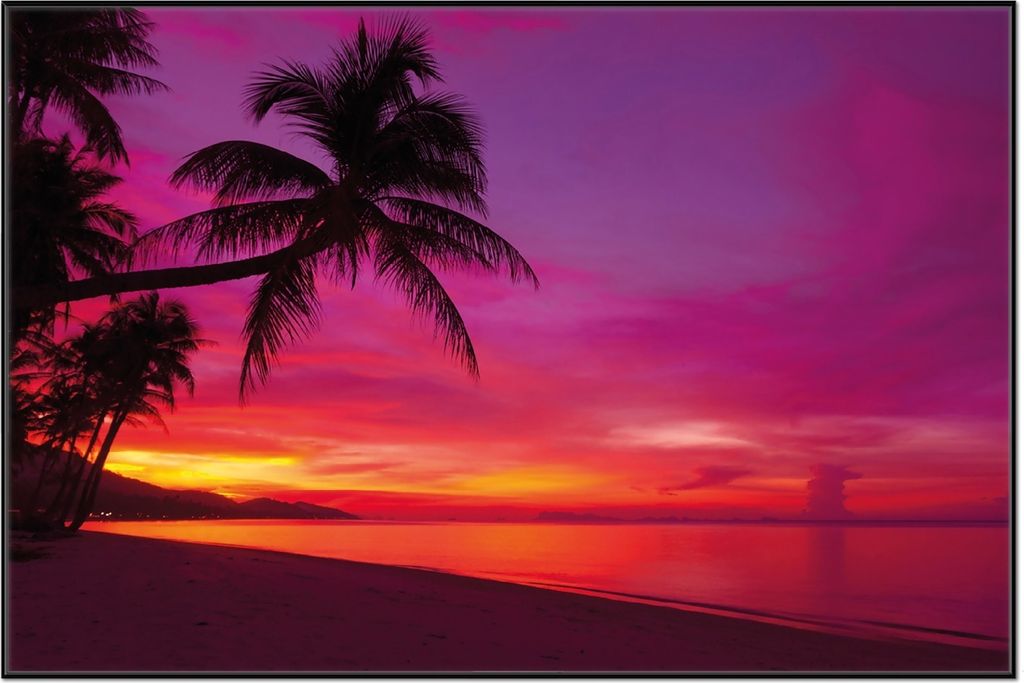 Wallario Wandbild Abendrot unter Palmen - pinker Himmel am Strand, Größe: 61 x 91,50 cm, Poster mit schwarzem Aluminiumrahmen