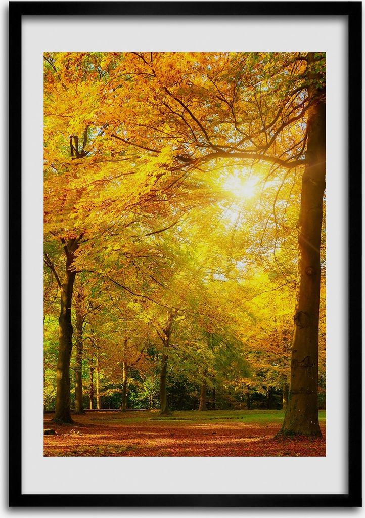 Bild - Bilderrahmen - 50 cm x 70 cm - MDF - Rahmen - Produktbild 