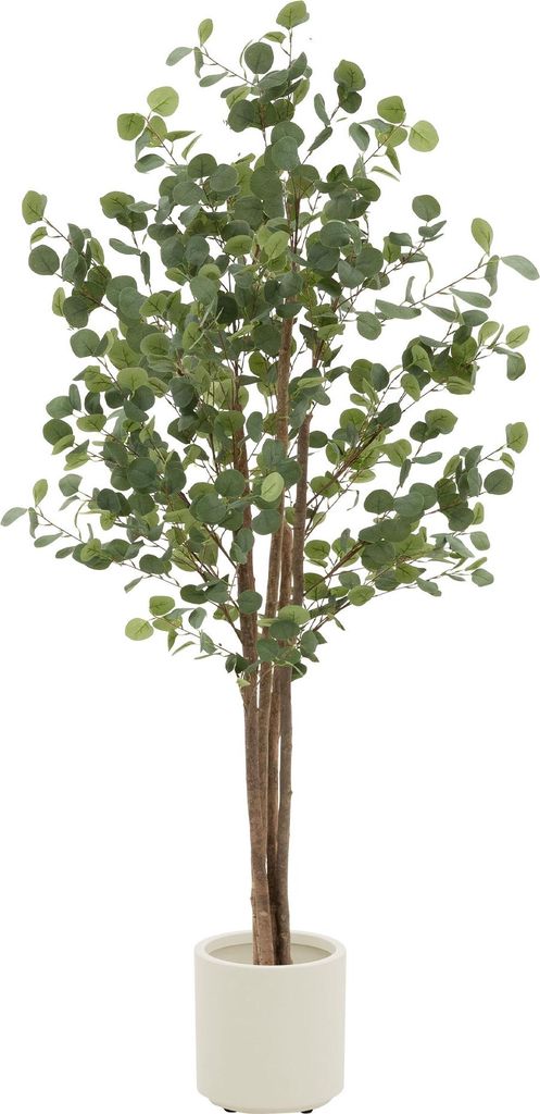 ML-Design umelý eukalyptus 180 cm, umelá rastlina s kmeňom Obrázok produktu 