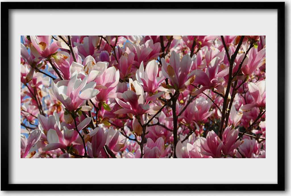 Bild 60x40 MDF-Rahmen Wandkunst Branchen Blumen Pflanze