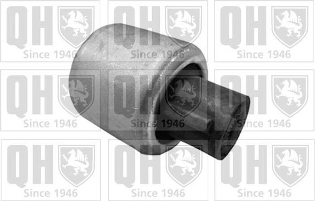 Lagerung Lenker für Querlenker für BMW 3 Touring (E91) EMS8345 QUINTON HAZELL