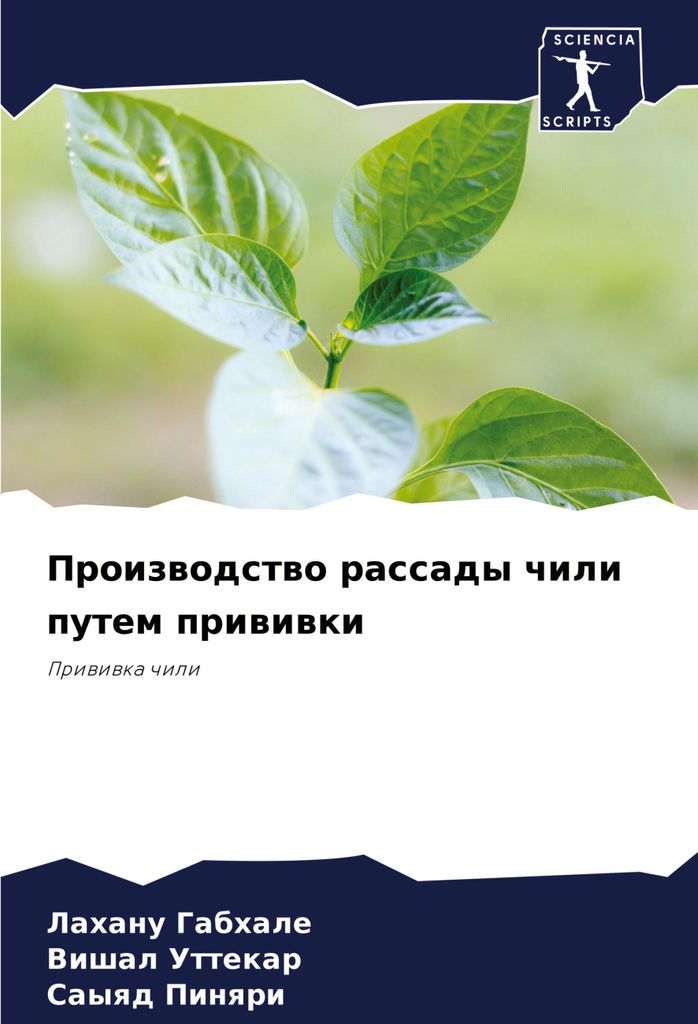 Proizwodstwo rassady chili putem priwiwki