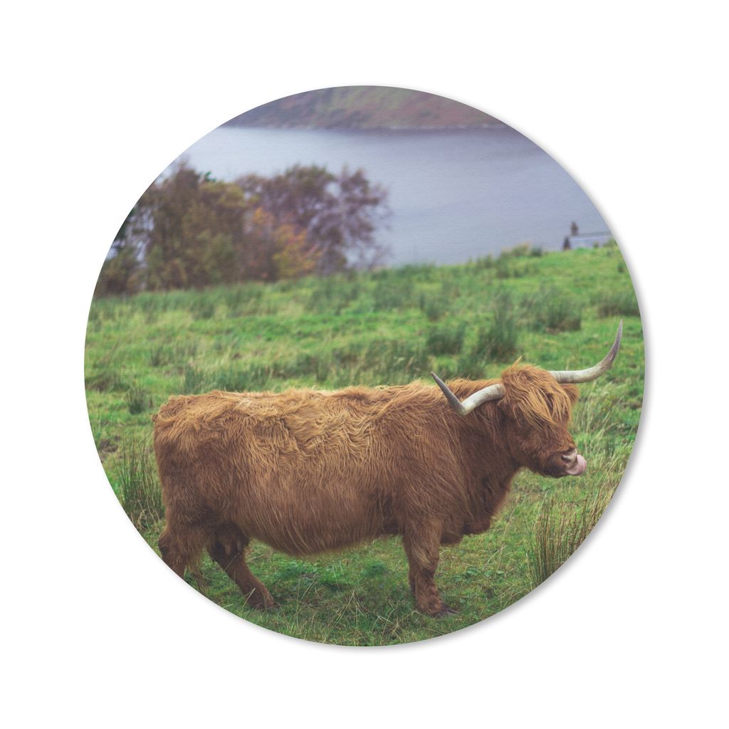 MuchoWow Mauspad Mousepad Schottische Highlander - Gras - Wasser - Tiere 20x20 cm - Mousepads - Maus Mat - Pad - Mausunterlage - Schreibtischmatte