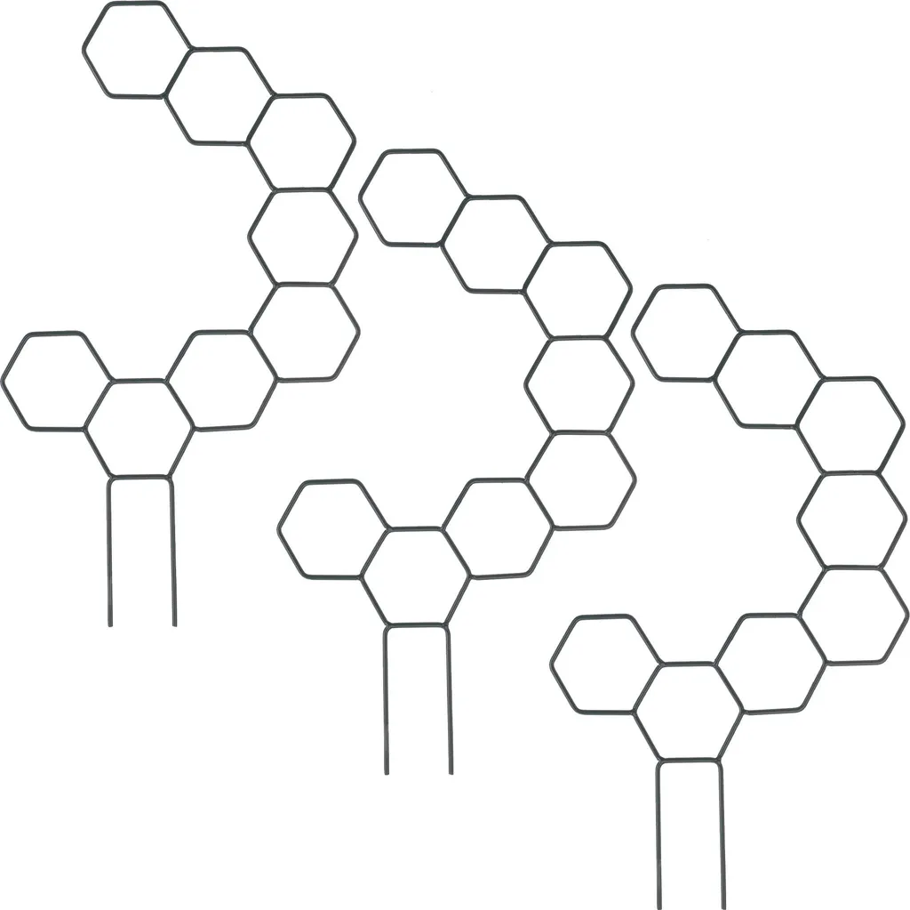 Soutenir vos plantes d'intérieur avec le support hexagonal KADAX x3 vert - 8
