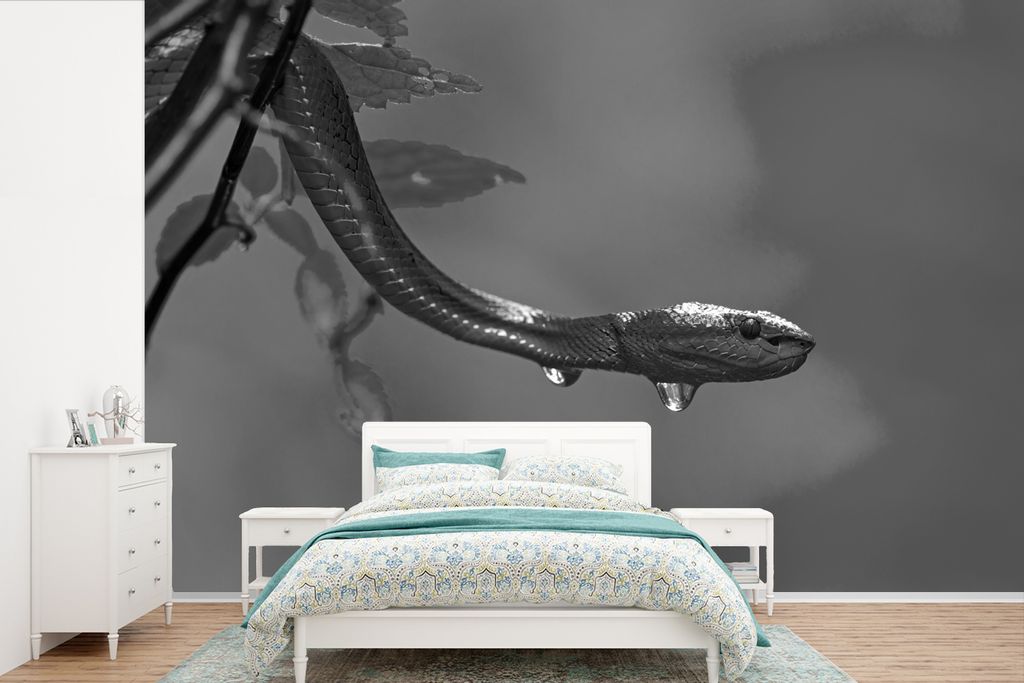 MuchoWow Fototapete für Wohnzimmer oder Schlafzimmer Wandtapete Vinyl Motivtapete Schlange Nahaufnahme - schwarz und weiß - 420x280 cm - Zimmer...