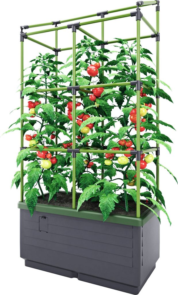 BioGreen Hochbeet "City Jungle" mit Rankgitter L 62 x B 33 x H 128 cm - 34L Kübelvolumen - 17L Wasserspeicher