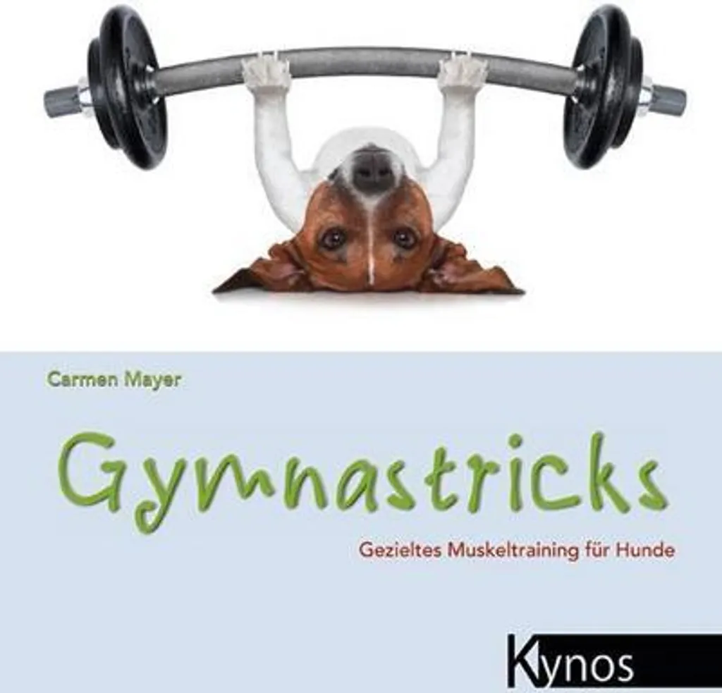 Gymnastricks : Target de Travail pour Obéissance et Dog Dancing Pro