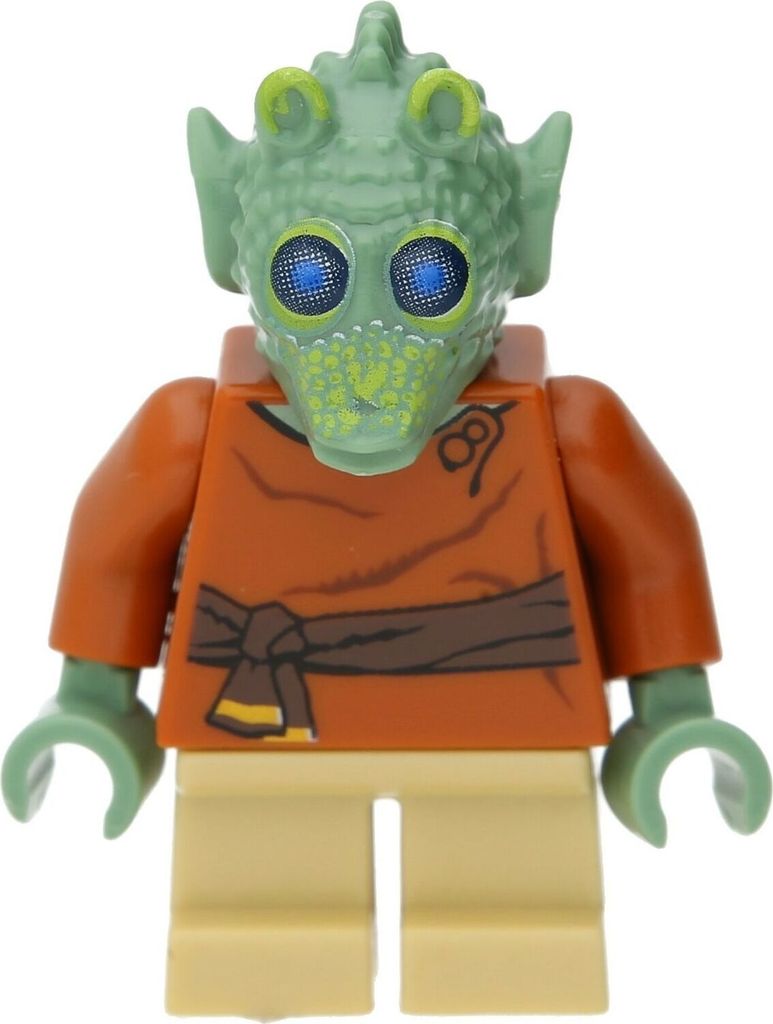 A close-up studio shot of a LEGO minifigure.