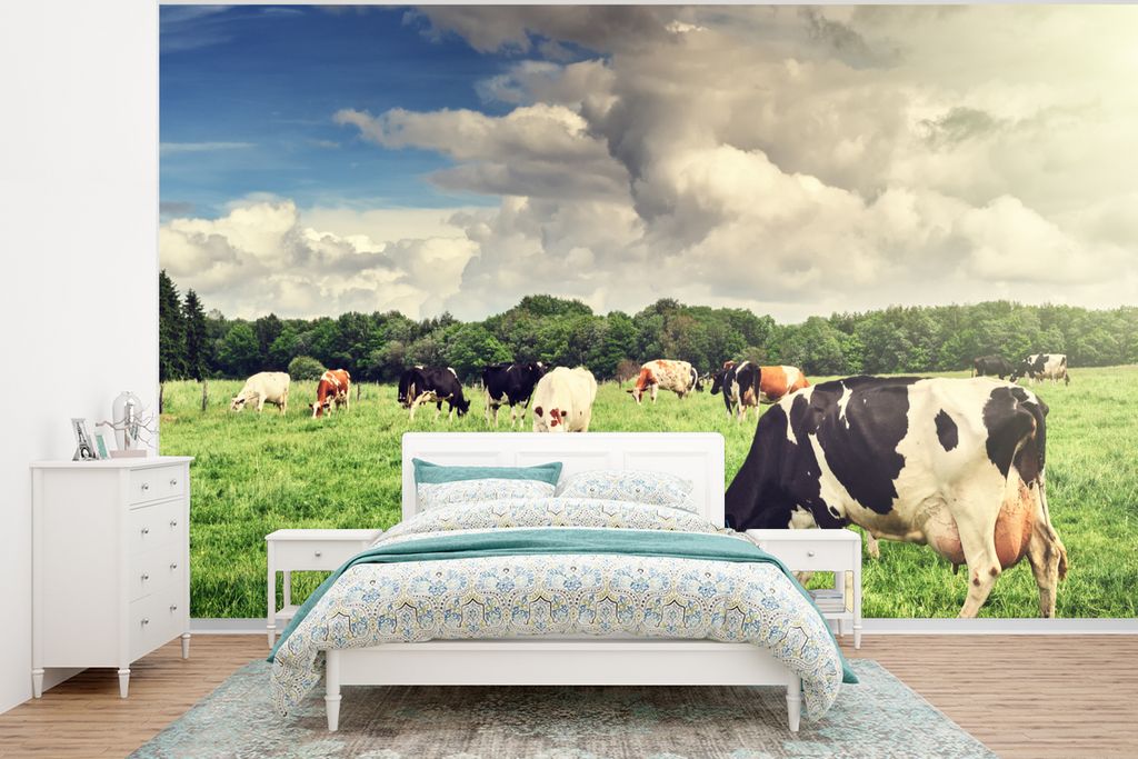 MuchoWow Fototapete für Wohnzimmer oder Schlafzimmer Wandtapete Vinyl Motivtapete Kühe - Weide - Natur - Tiere - Landschaft - 295x220 cm - Wand...