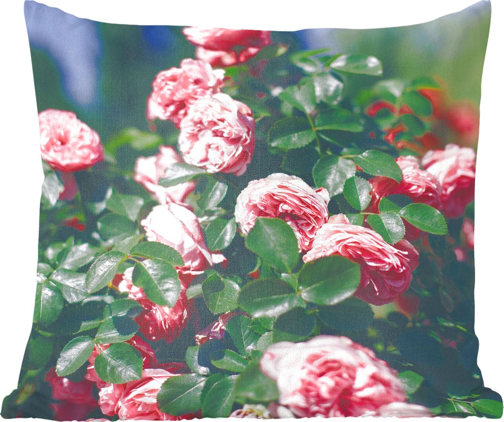 MuchoWow Zierkissen Sofakissen Wohnzimmer Dekokissen 60x60 cm Schöne rosa Rose im Sommergarten - Sitzfläche - Foto Polster