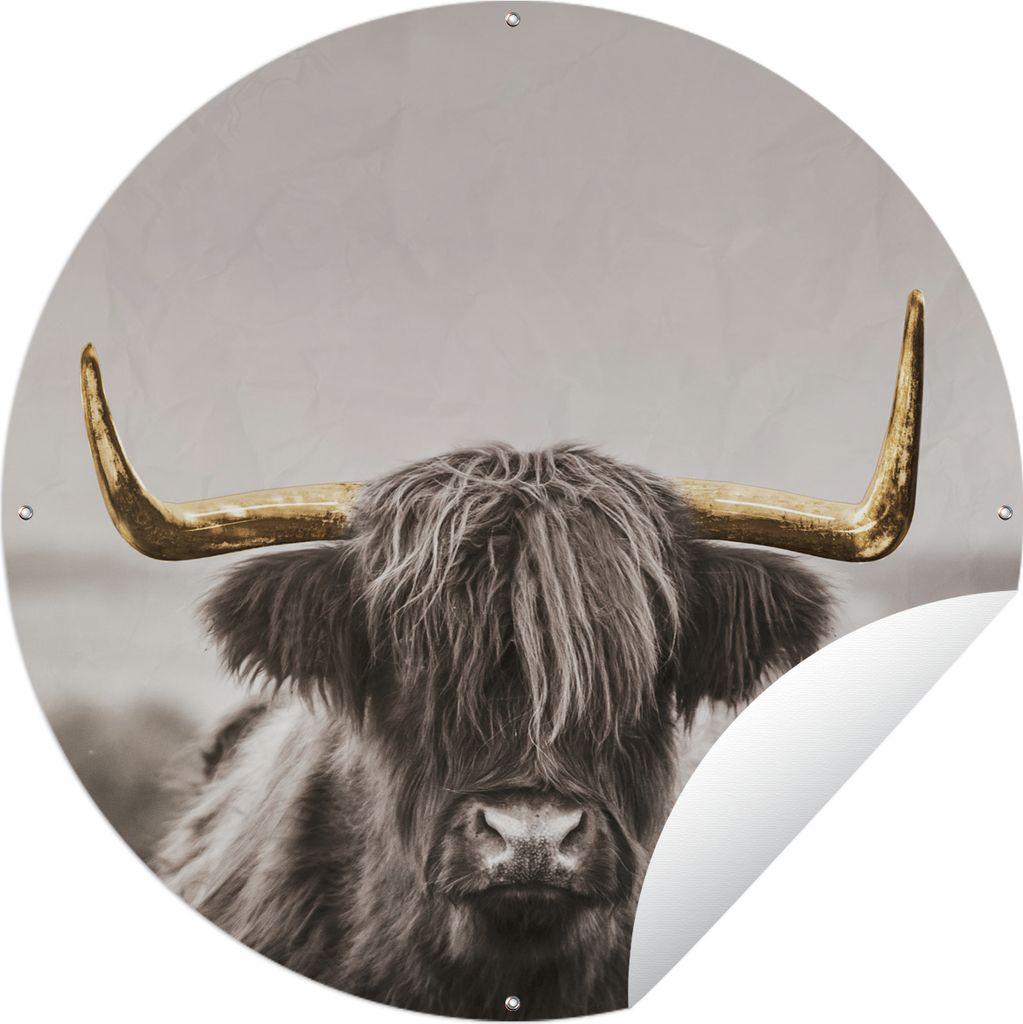 MuchoWow Gartenposter Outdoor-Poster Rund Schottischer Highlander - Gold - Hoorn Ø 60 cm Gartendeko Rundes Poster draußen