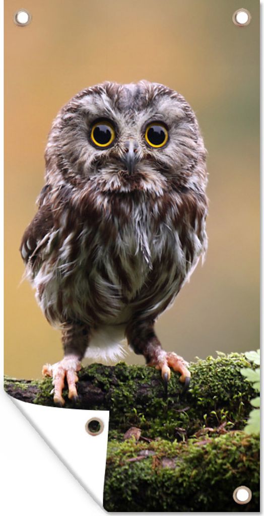 MuchoWow 40x80 cm Outdoor-Poster Gartendeko Sichtschutz Garten Poster für den Garten Steinkauz