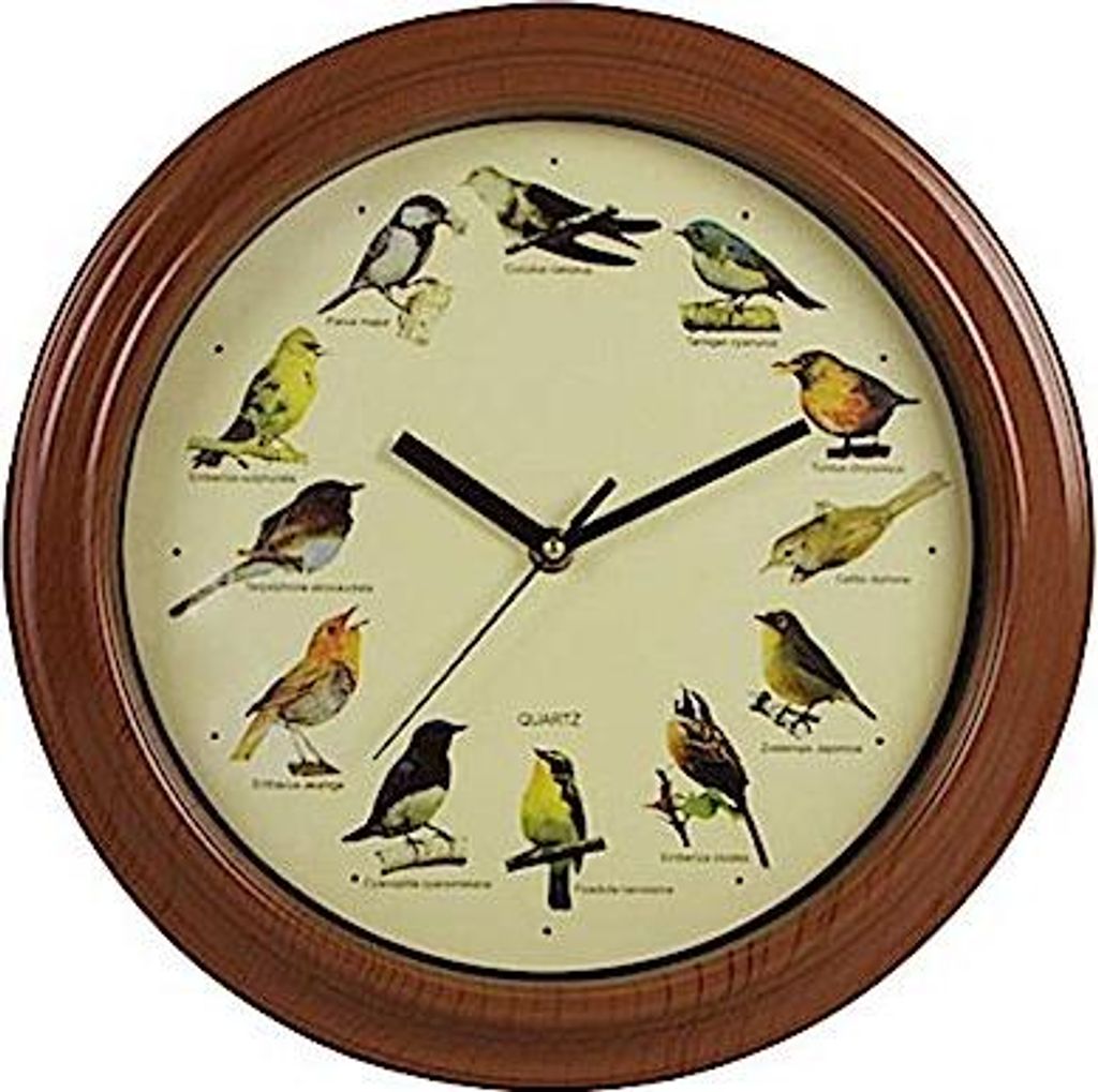 Luna24 simply great ideas... Vogelstimmen-Wanduhr mit 12 authentischen Vogelgesängen heimischer Vögel wie Kuckuck, Zaunkönig, Rotkehlchen u.v.m.