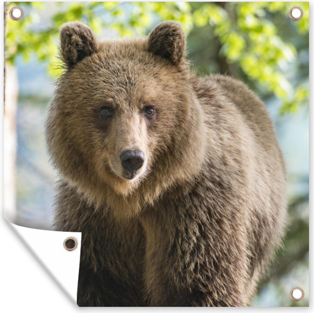 MuchoWow 50x50 cm Outdoor-Poster Gartendeko Sichtschutz Garten Poster für den Garten Bär - Braun - Wald