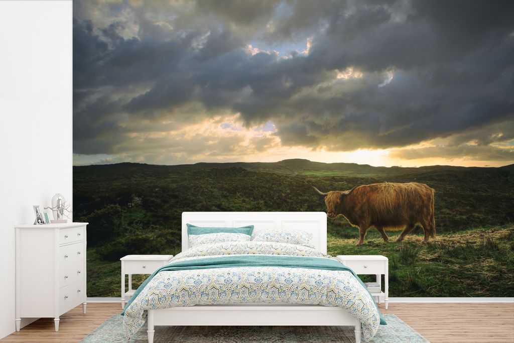 MuchoWow Fototapete für Wohnzimmer oder Schlafzimmer Wandtapete Vinyl Motivtapete Schottischer Hochländer - Landschaft - Kuh - 420x280 cm - Zim...