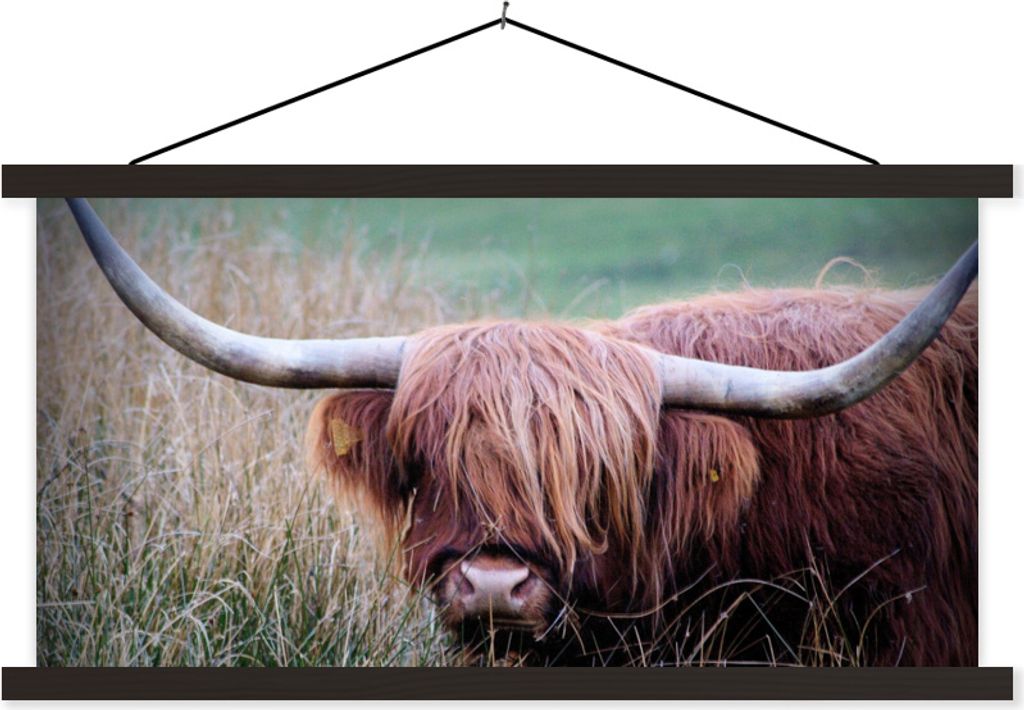 MuchoWow Textilposter Schottisches Hochlandrind - Porträt - Rindsleder 150x75 cm mit schwarzem Rahmen - Posterleiste