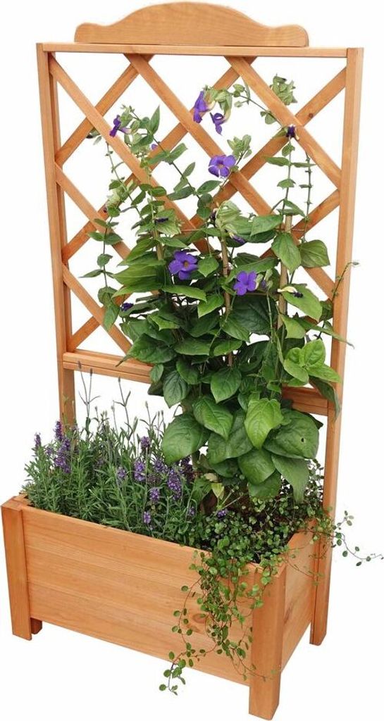 Rankkasten 'Botanica' 69 x 140 cm Promadino Garten Dekoration Blumen Pflanzen
