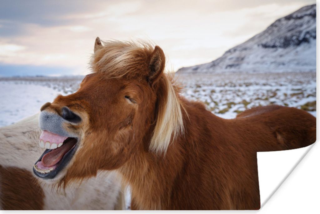 MuchoWow Poster Pferd - Strand - Braun 120x80 cm - Bilder