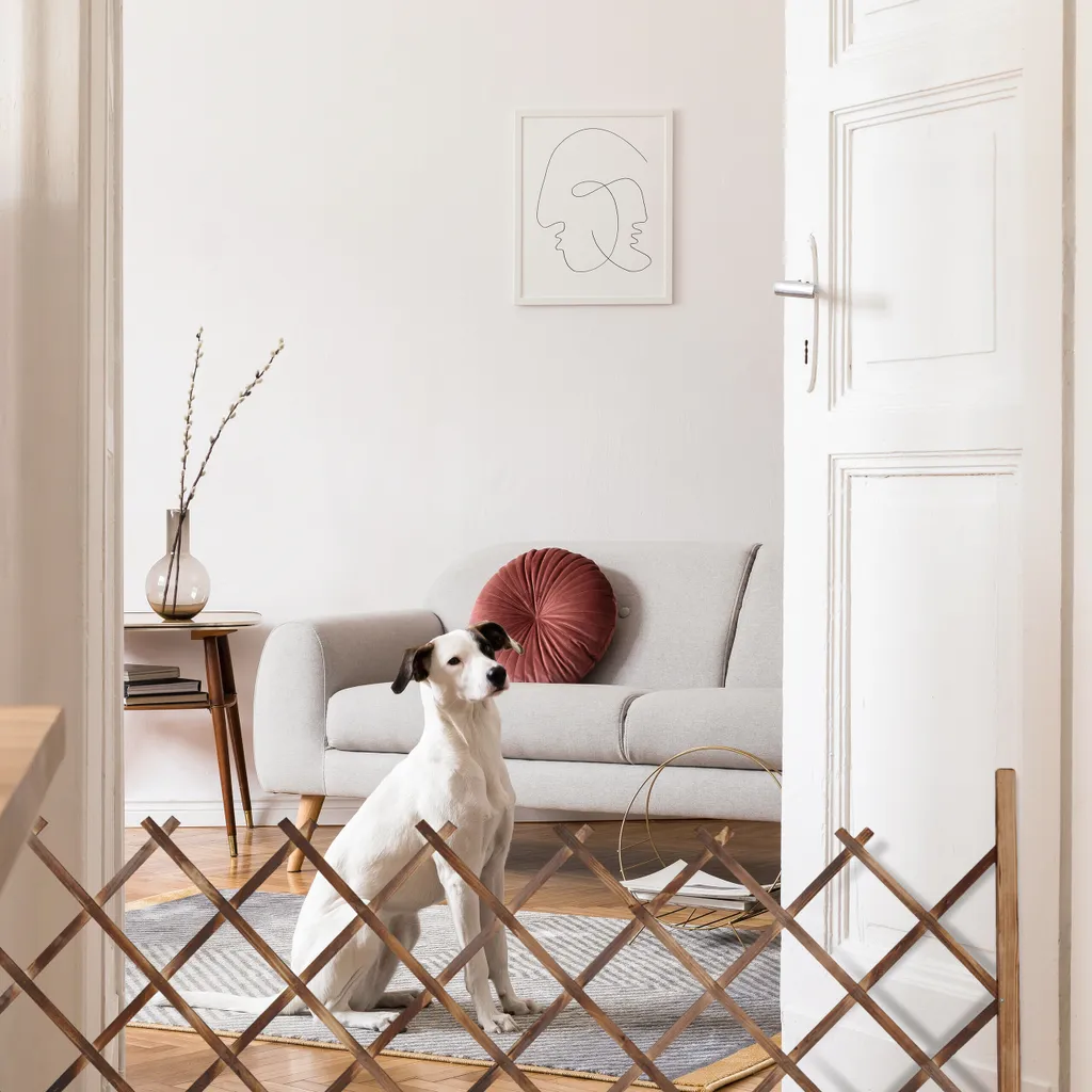 Support plante grimpante bois relaxdays treillis extensible mural - 5