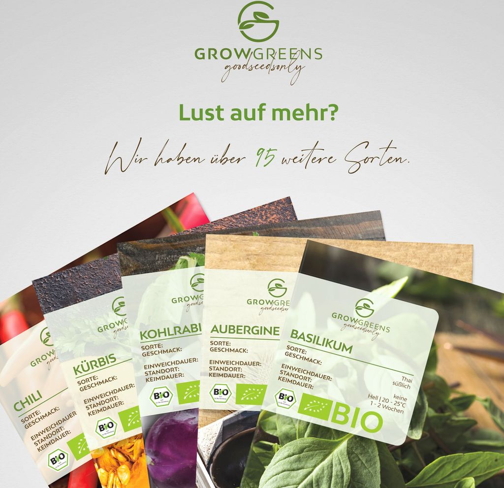 sojabohnen saatgut bio BIO Saatgut Edamame Sojabohne Hokkai Green  Biogartenladen