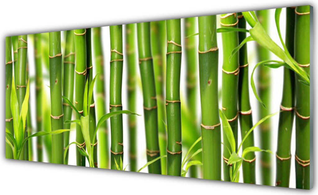 Acrylglasbilder 125x50 Wandbild Druck Bambusrohre Pflanzen Produktbild 