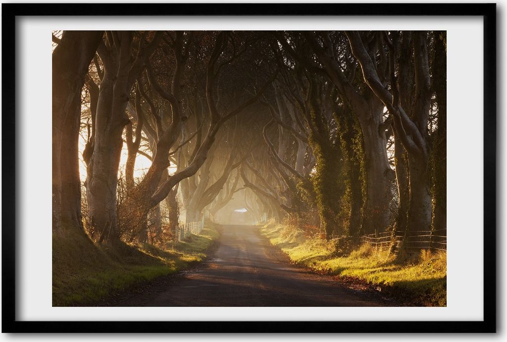 Bild 60x40 MDF-Rahmen, Wandkunst Nebel im Wald