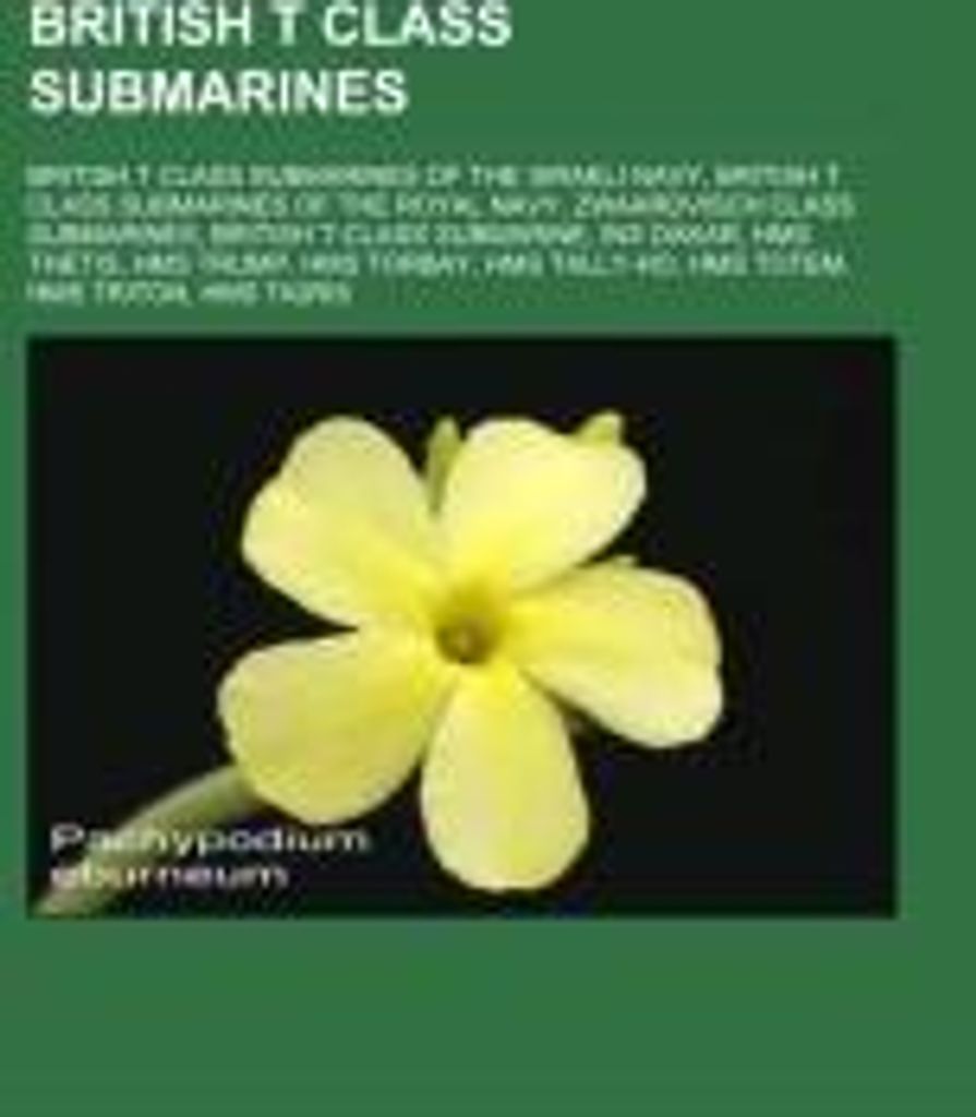 British T class submarines