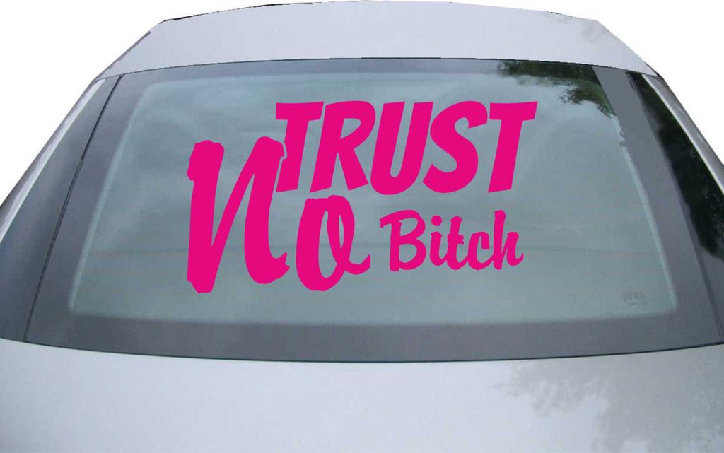 Indigos UG - Aufkleber Heckscheibe & Motorklappe DE6949 - pink - 600x328 mm - Trust no Bitch - Auto Scheiben Fenster Heckklappe Tuning Racing JDM -...