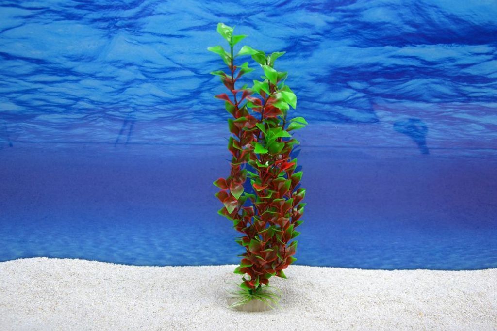 Amtra Ludwigia XL 36 cm – Künstliche Aquarium-Deko Produktbild 