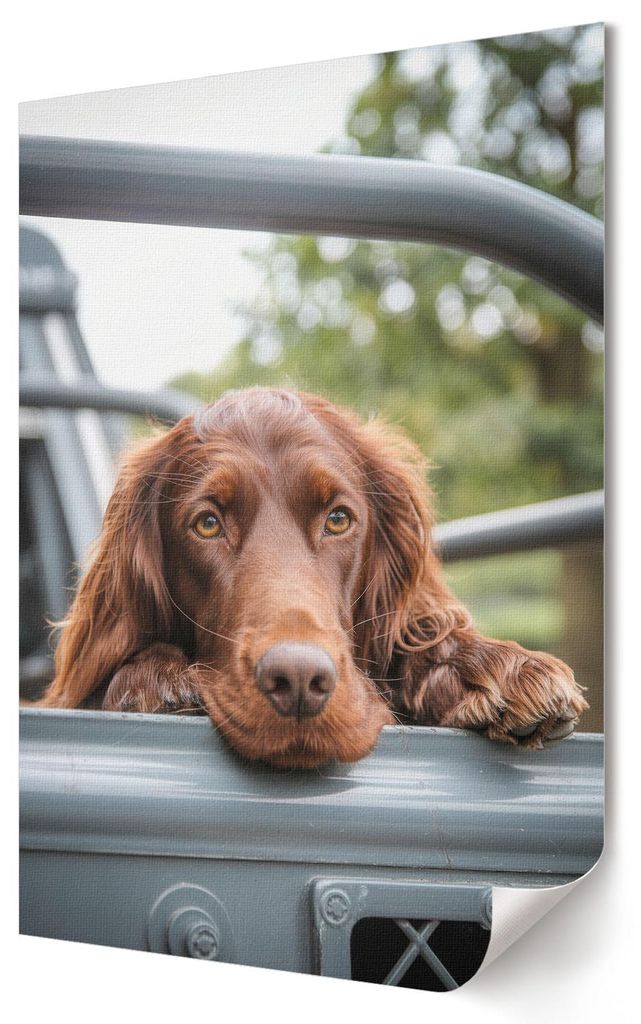 Hund im Auto- Kunstdruck A1 (59x84 cm) - Klassisch, rustikal- Wandbild für Wohnzimmer Schlafzimmer & Flur, Modernes Poster Wanddeko, Ungerahmt