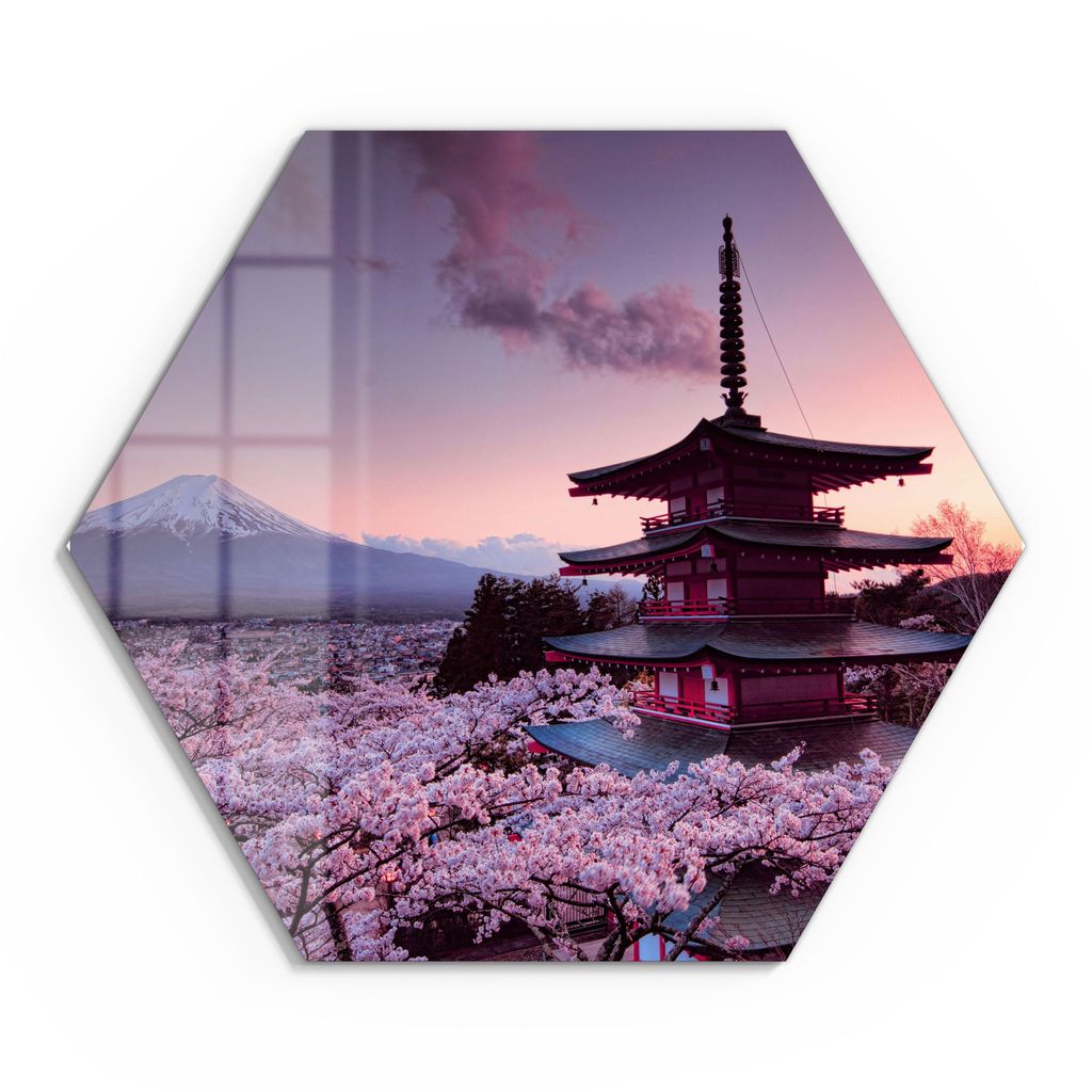 DEQORI Glasbild Echtglas 40x35 cm 'Kirschblüten Tempel Japan' Wandbild Bild modern Deko