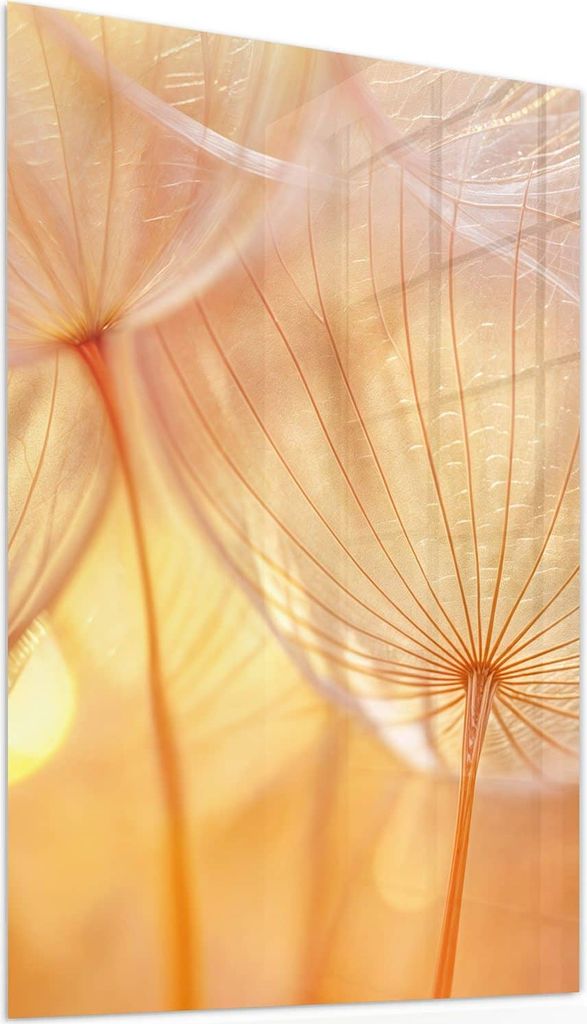Glasbild 50x75cm in XXL für Wohnzimmer, Schlafzimmer Motiv Dandelion Makroaufnahme