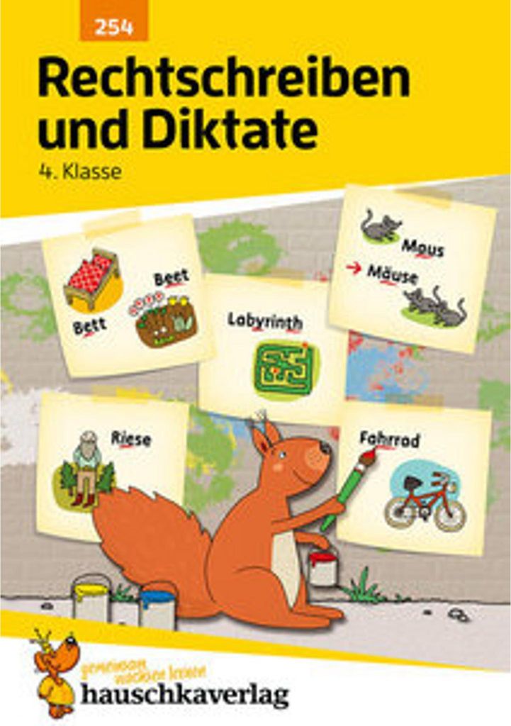 Rechtschreiben und Diktate 4. Klasse Image du produit 