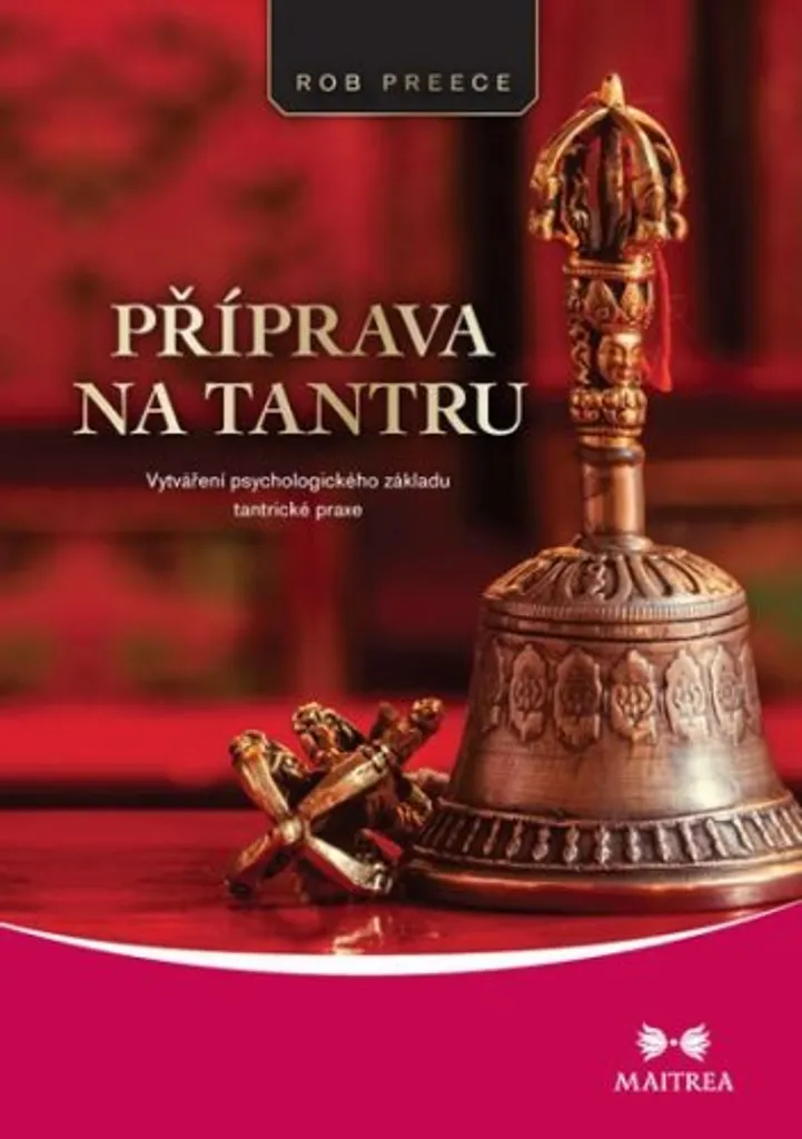 Livre Préparation au Tantra guide spirituel pour méditation et yoga