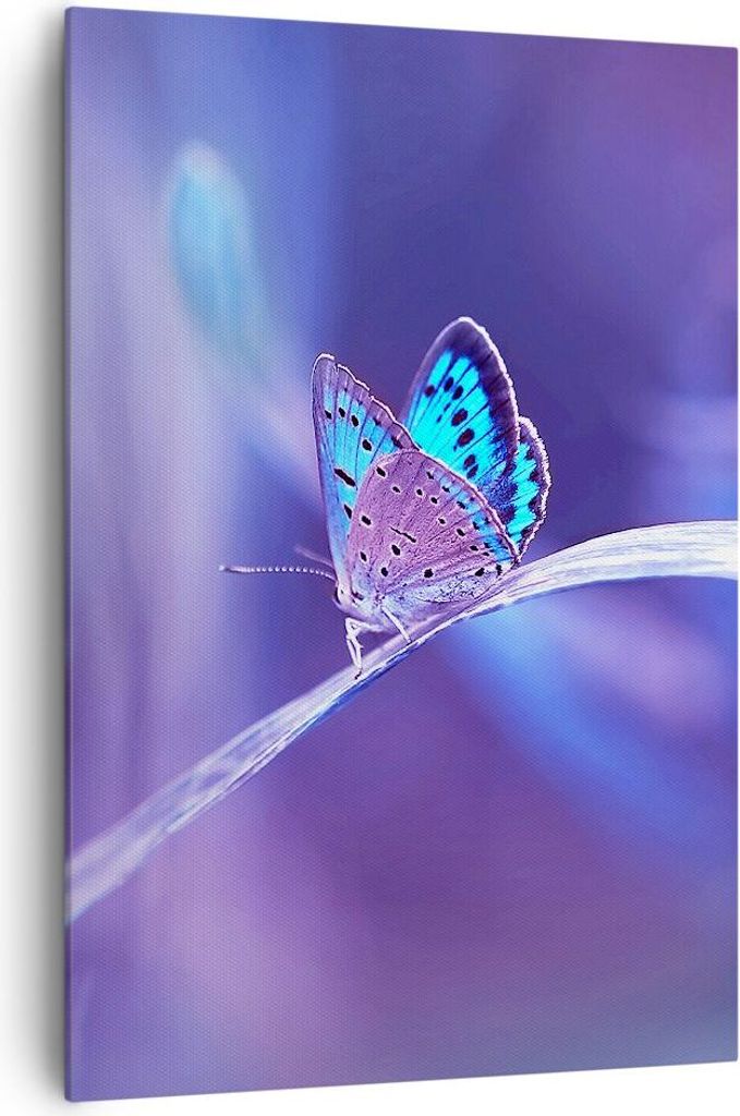 Bild auf Leinwand - Leinwandbild - Einteilig - Schmetterling Natur - 70x100cm - Wand Bild - Wanddeko - Wandbilder - Leinwanddruck - Wanddekoration ...
