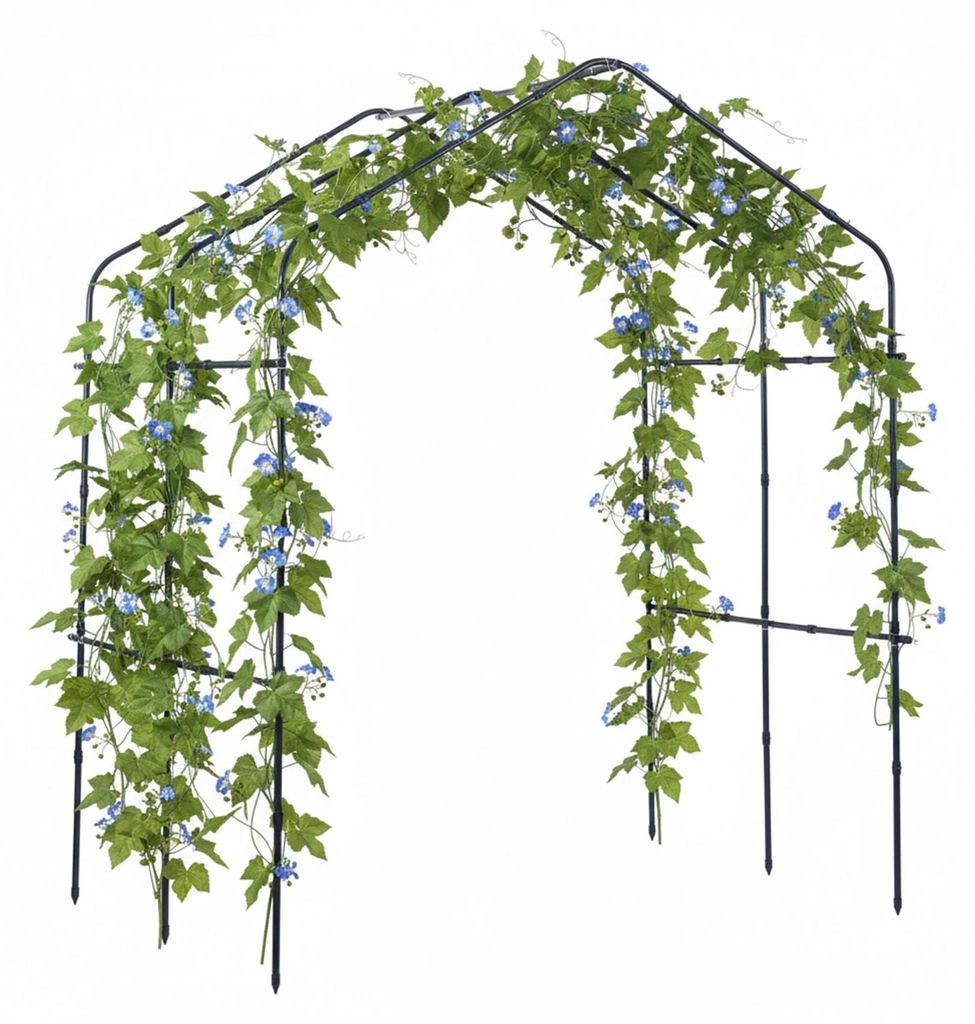 Treillis métallique en arc pour plantes grimpantes Image du produit 