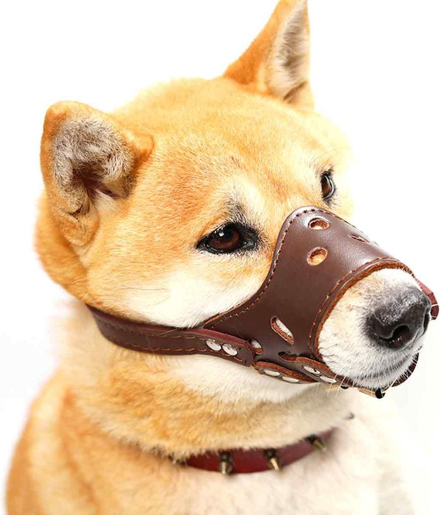 Verstellbarer Maulkorb aus weichem braunem Leder für kleine, mittelgroße und große Hunde