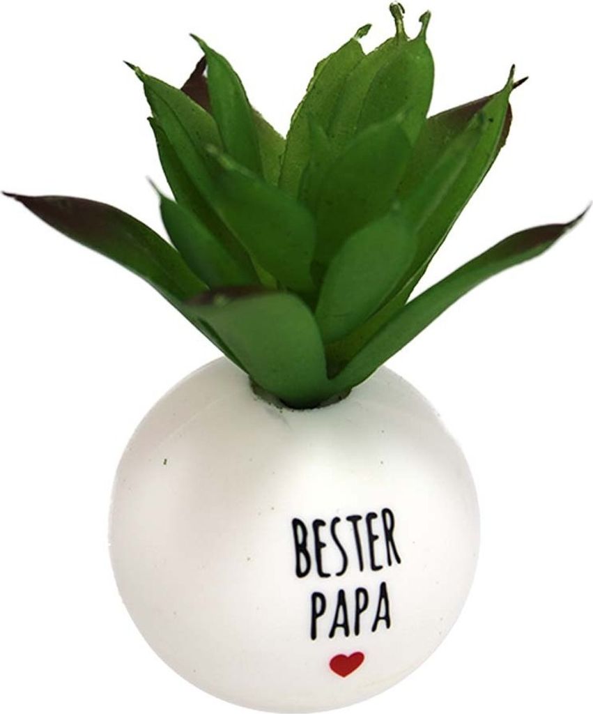 Plastik Pflanze Deko Motiv "Bester Papa" - ca. 8 cm Produktbild 