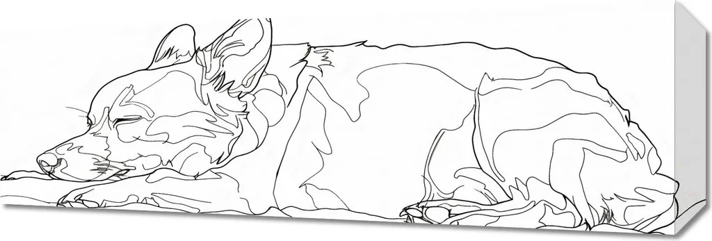 Image Chien Endormi 60x20 cm - Impression HD Format Long Horizontal
