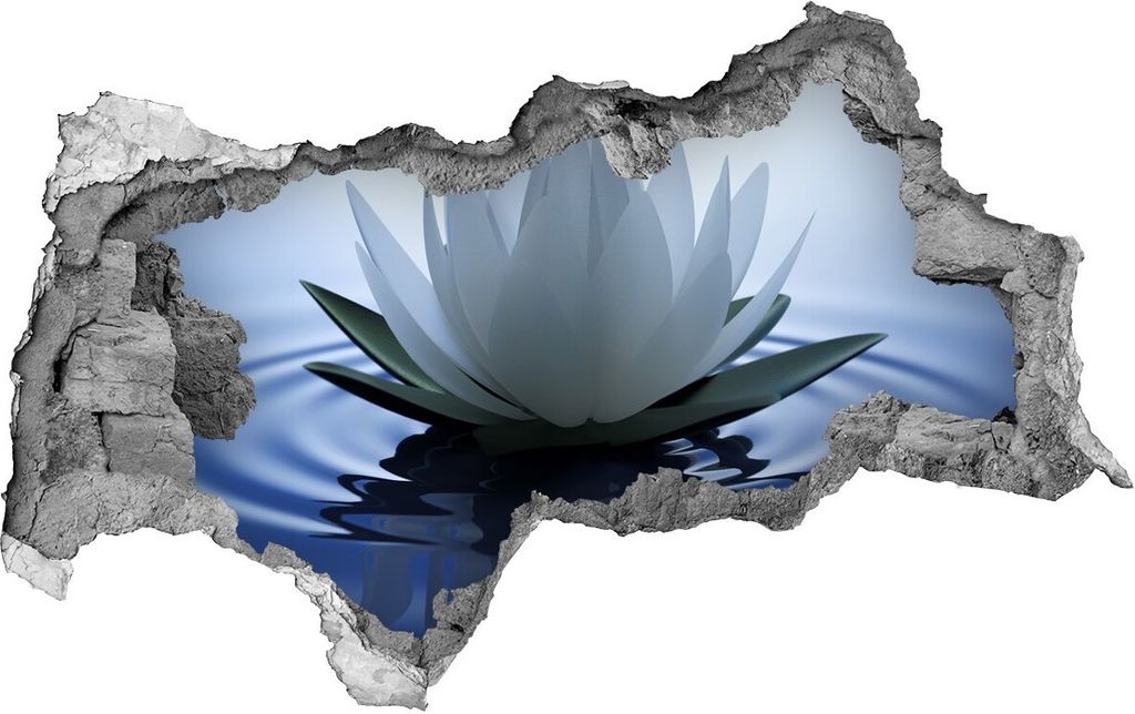 Selbstklebender Loch-3D-Aufkleber 95x73 cm Seerose Produktbild 