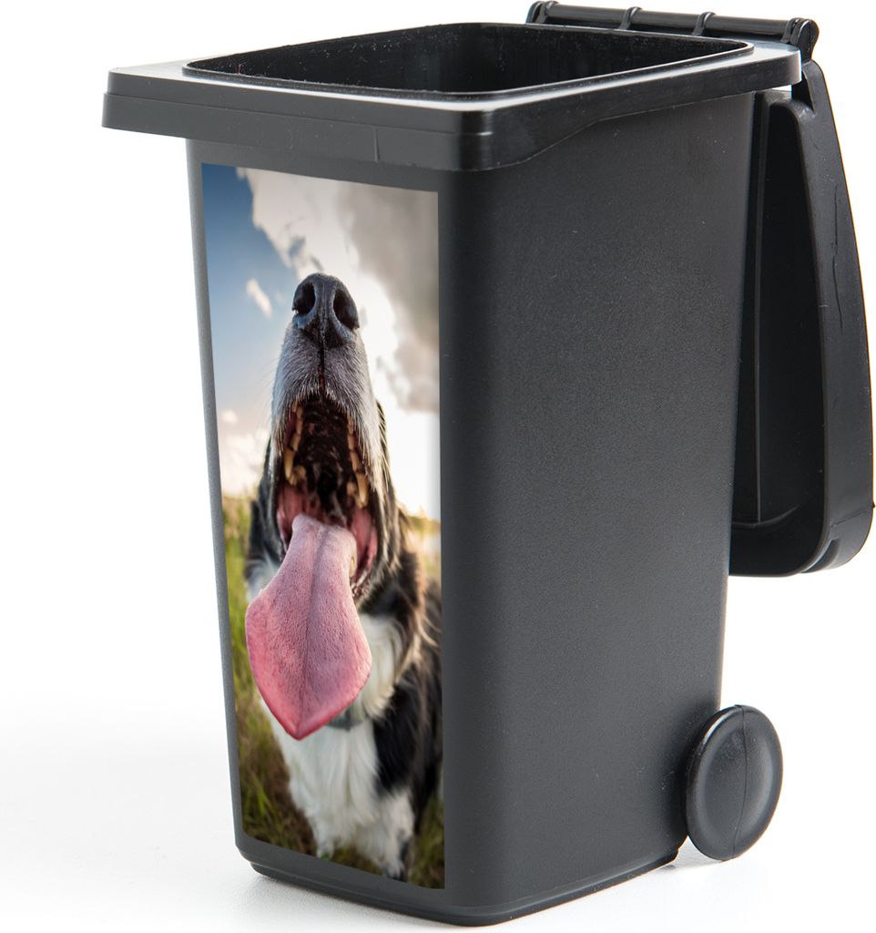 MuchoWow Mülltonnenaufkleber Nahaufnahme Border Collie 44x98 cm - Containeraufkleber - Aufkleber - Mülltonnen-Aufkleber