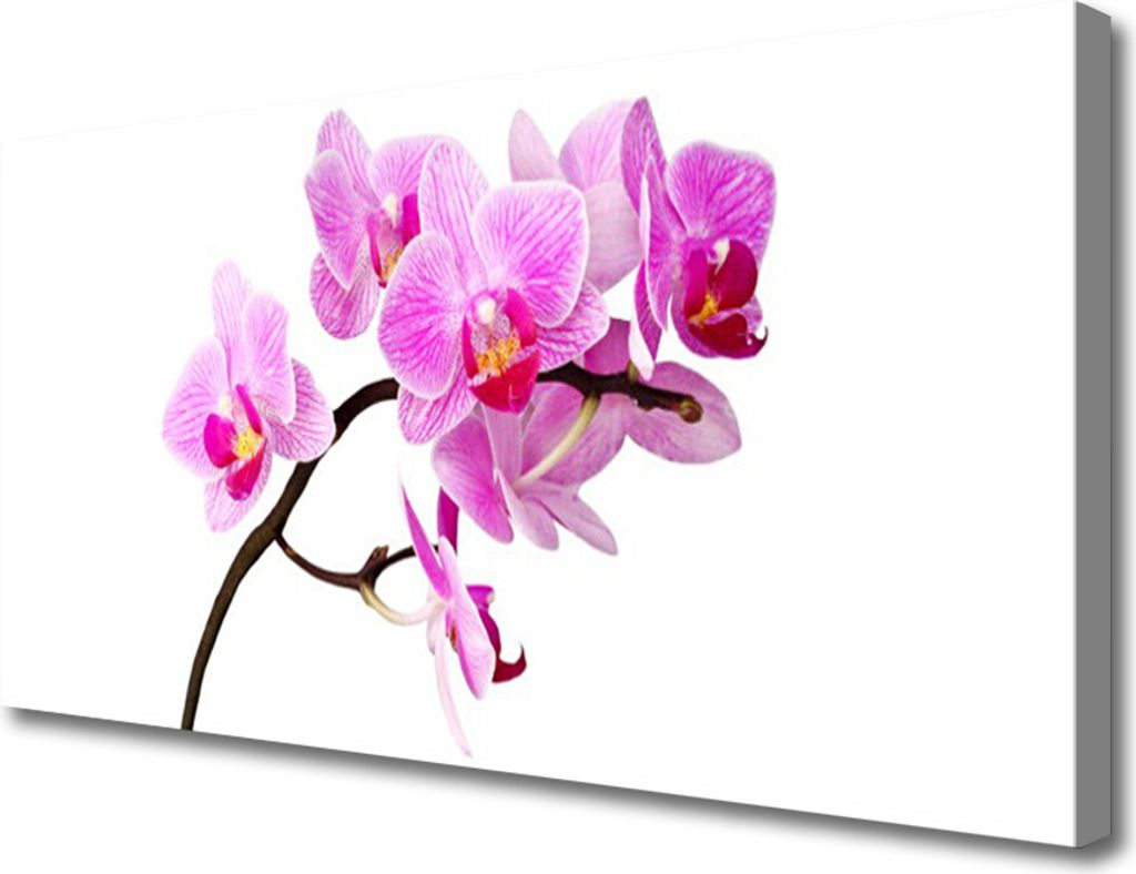 Tulup Leinwand-Bilder 100x50 Wandbild Canvas Kunstdruck Blumen Pflanzen