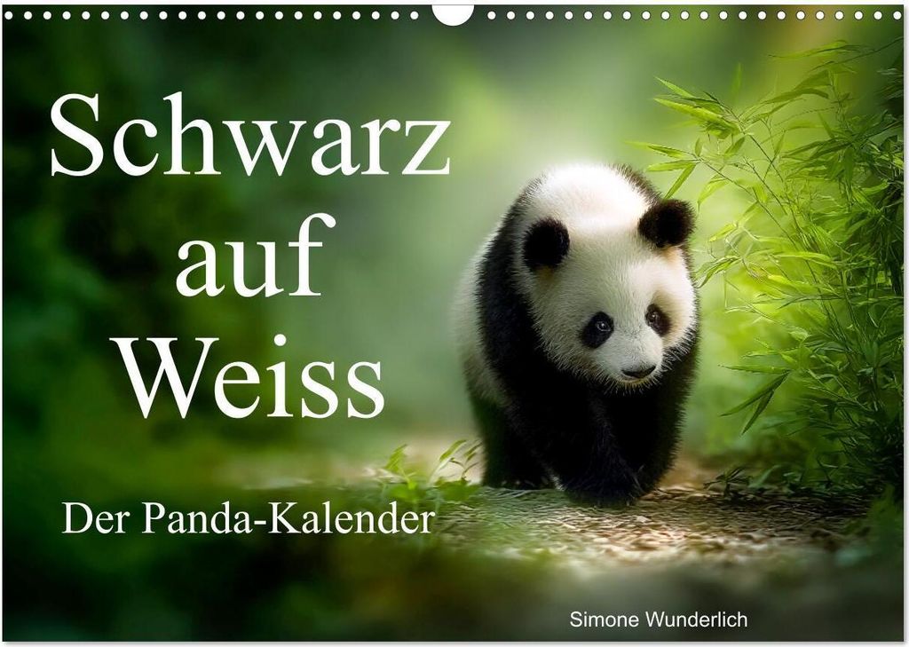 Schwarz auf Weiß - Der Panda-Kalender (Wandkalender 2026 DIN A3 quer), CALVENDO Monatskalender